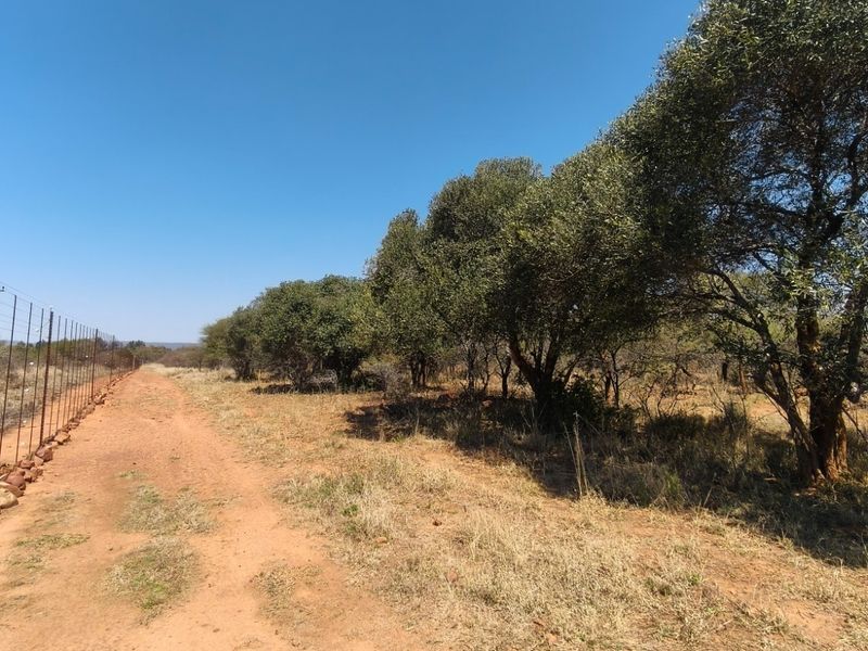 A view of the farm grounds featuring a dirt track, established trees, and a perimeter wire fence.