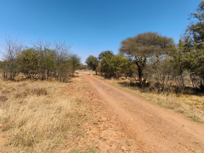 A dirt access road winding through the natural bushveld landscape of the farm property.