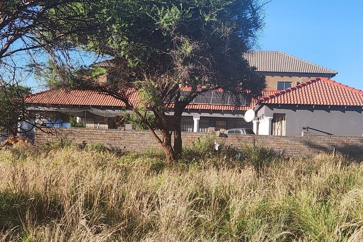 View of the rear elevation of the property featuring a tiled roof, solar panels, and a brick boundary wall, set behind overgrown vegetation.
