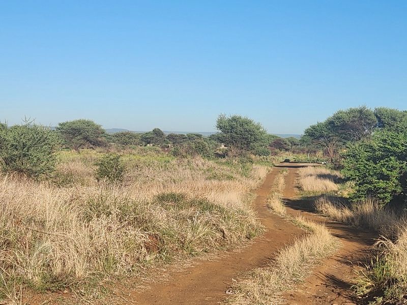 A view of a vacant commercial plot featuring a dirt access road and natural vegetation.