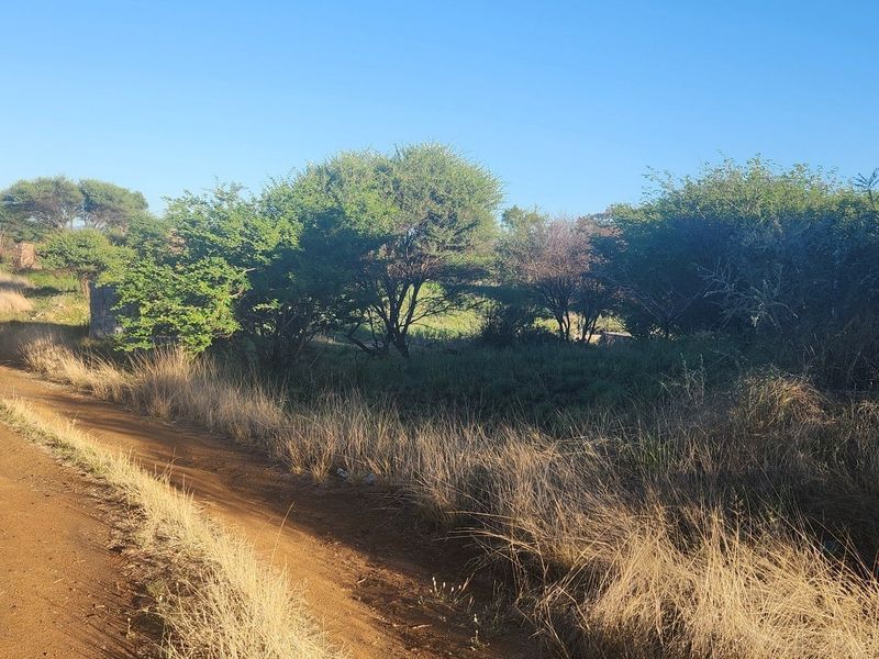 A view of the vacant commercial land featuring natural vegetation and direct access via a dirt road.