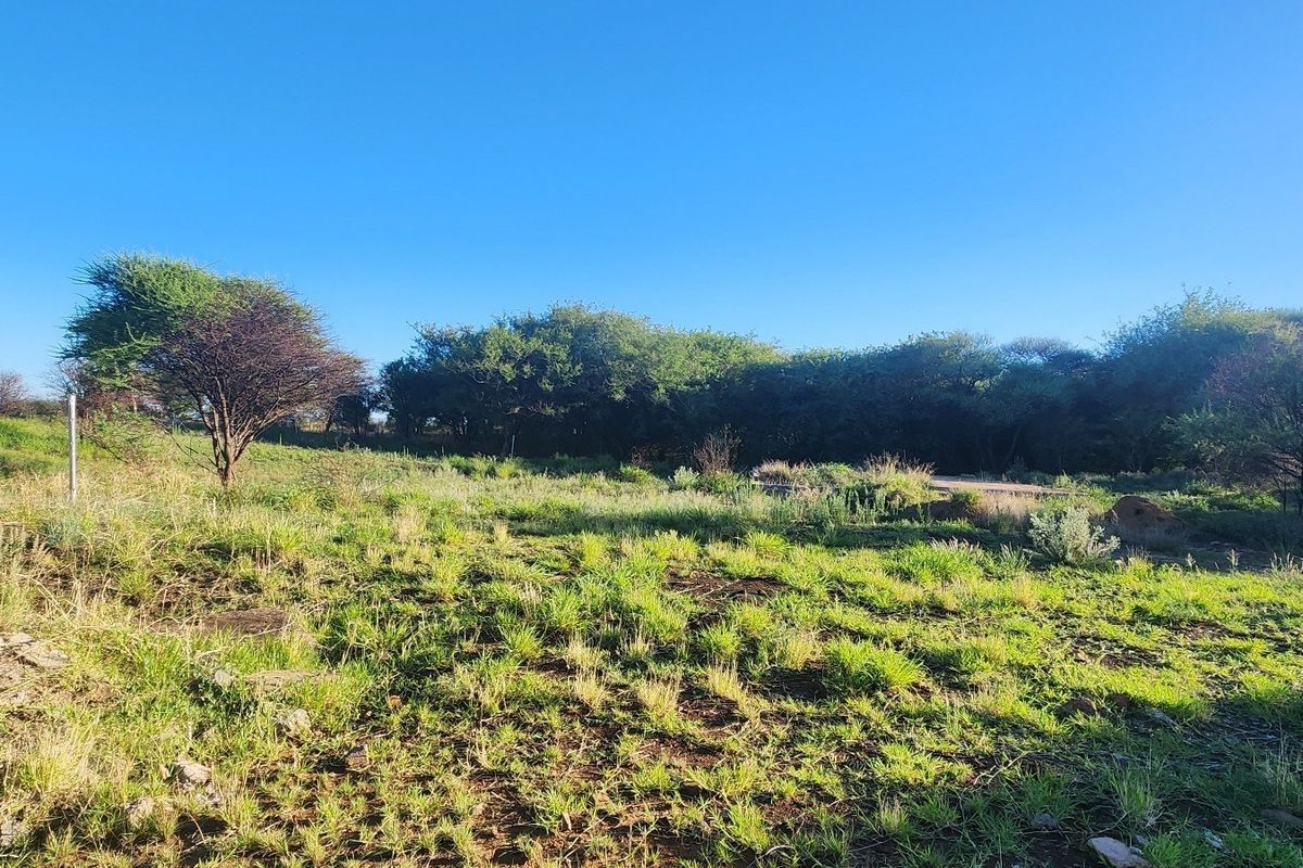 A view of the vacant commercial land featuring natural vegetation and open terrain under a clear blue sky.