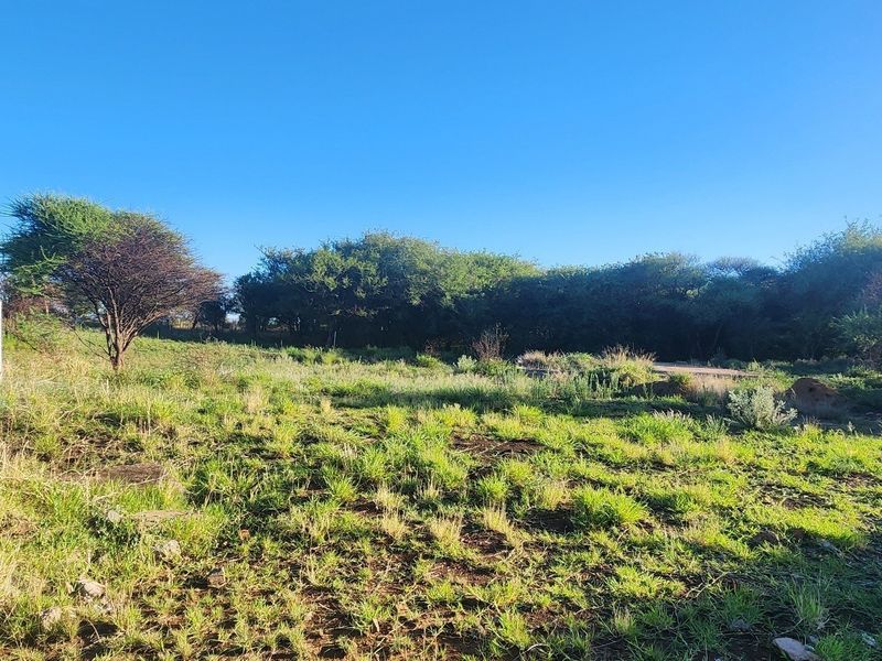 A view of the vacant commercial land featuring natural vegetation and open terrain under a clear blue sky.