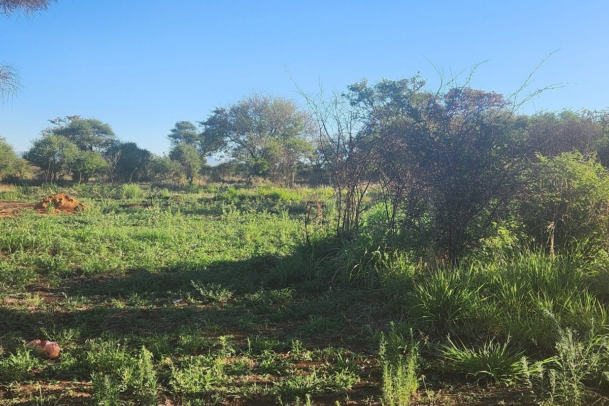 A view of the vacant commercial land featuring natural vegetation, grass, and mature trees across the property.