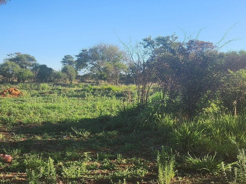 A view of the vacant commercial land featuring natural vegetation, grass, and mature trees across the property.