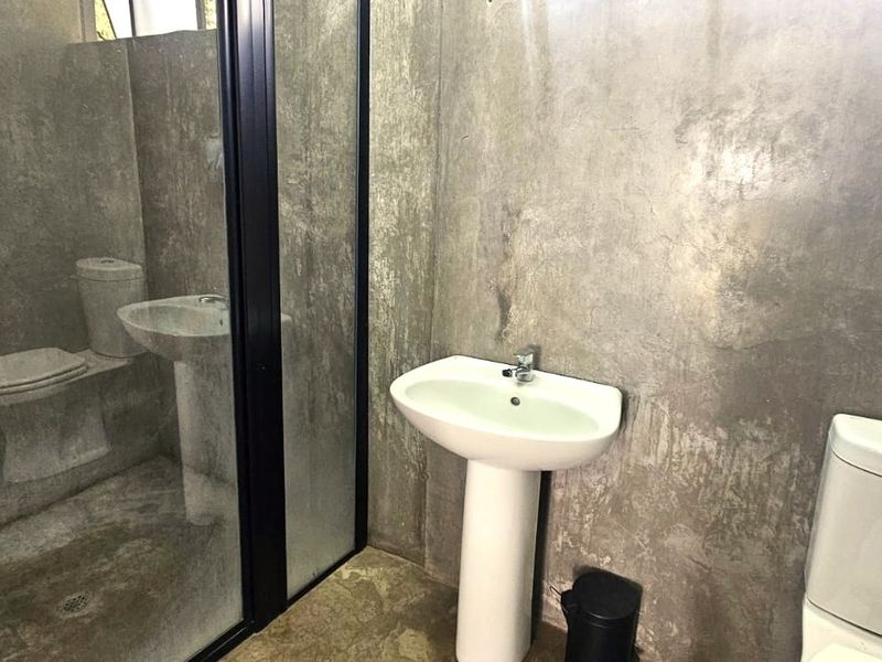 A minimalist bathroom featuring industrial-style cement screed walls and flooring, equipped with a pedestal basin, toilet, and a glass-enclosed shower.