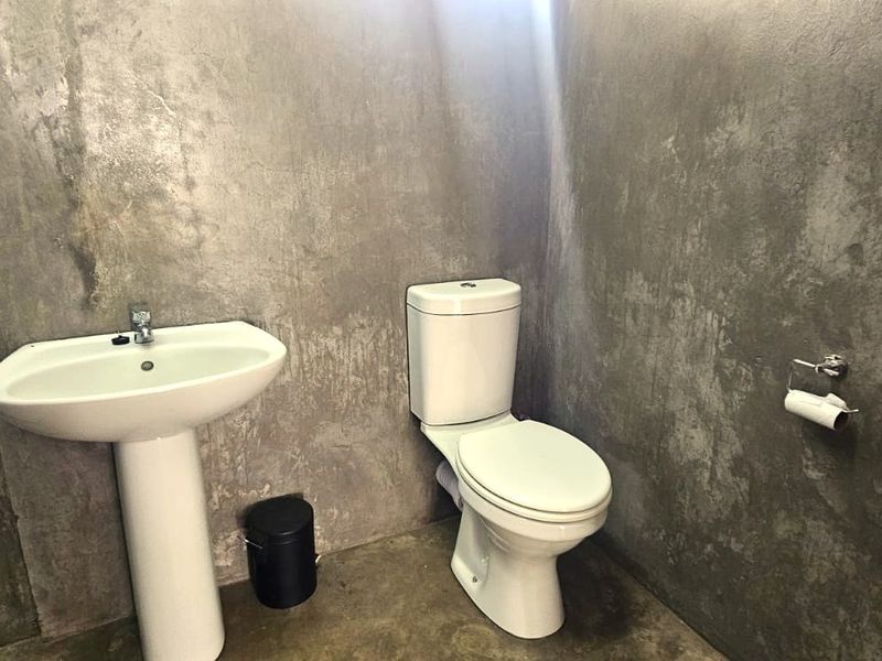 A minimalist bathroom featuring a pedestal basin, a standard toilet, and industrial-style concrete wall finishes.