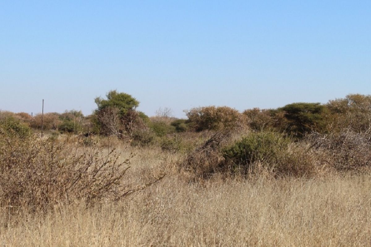 Vacant Land Residential For Sale In Northam - Photo 5