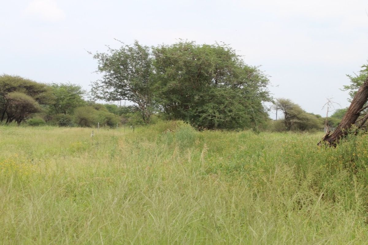 Vacant Land Residential For Sale In Northam - Photo 2