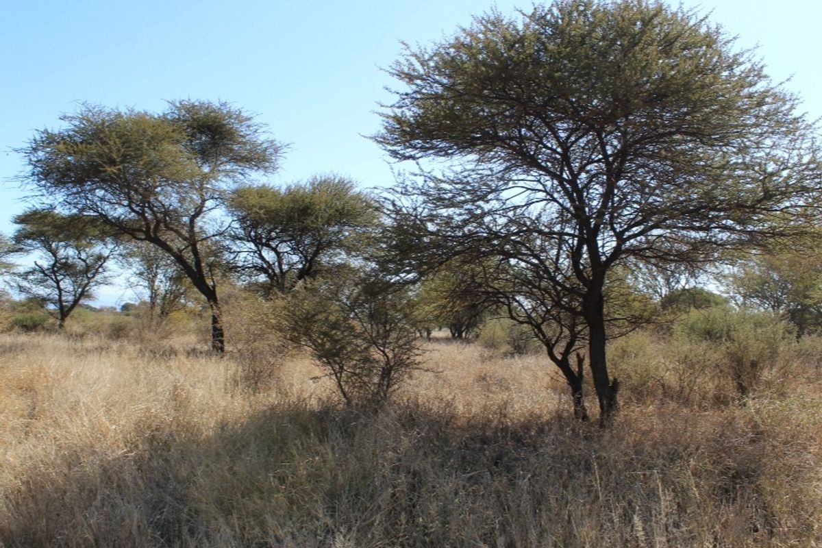 Vacant Land Residential For Sale In Northam - Photo 4