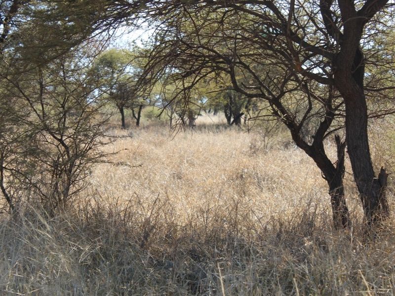 Vacant Land Residential For Sale In Northam - Photo 10