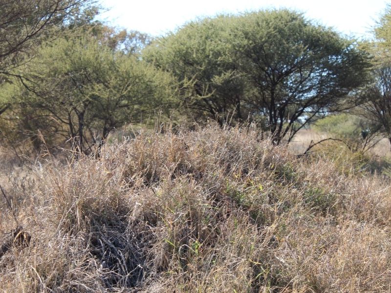 Vacant Land Residential For Sale In Northam - Photo 10