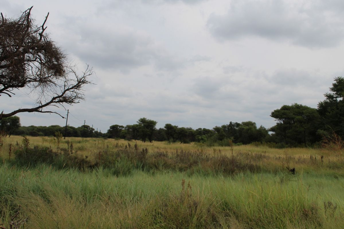 A view of a vacant residential plot featuring natural grassland, scattered indigenous trees, and an overcast sky.