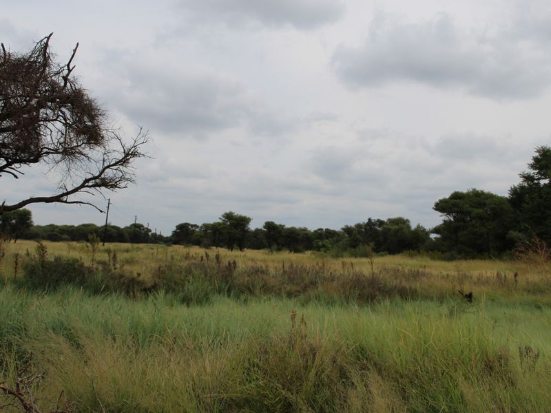 A view of a vacant residential plot featuring natural grassland, scattered indigenous trees, and an overcast sky.