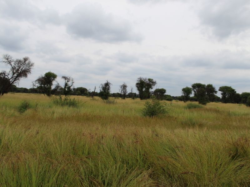 A view of the expansive, undeveloped residential land featuring natural grassland and scattered indigenous trees under a cloudy sky.