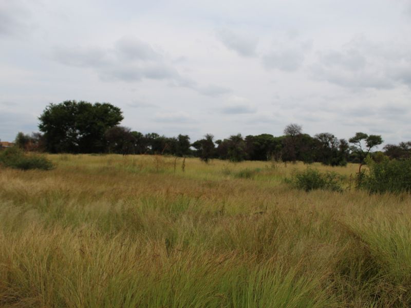 A view of the vacant residential land featuring natural grass cover and scattered indigenous trees under an overcast sky.