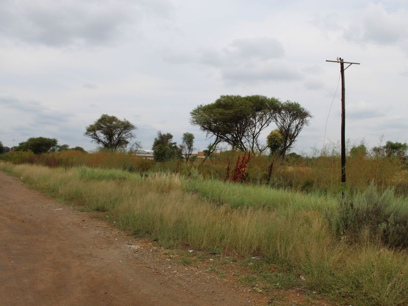 A view of a vacant residential plot featuring natural vegetation, native trees, and an existing utility pole along an unpaved access road.