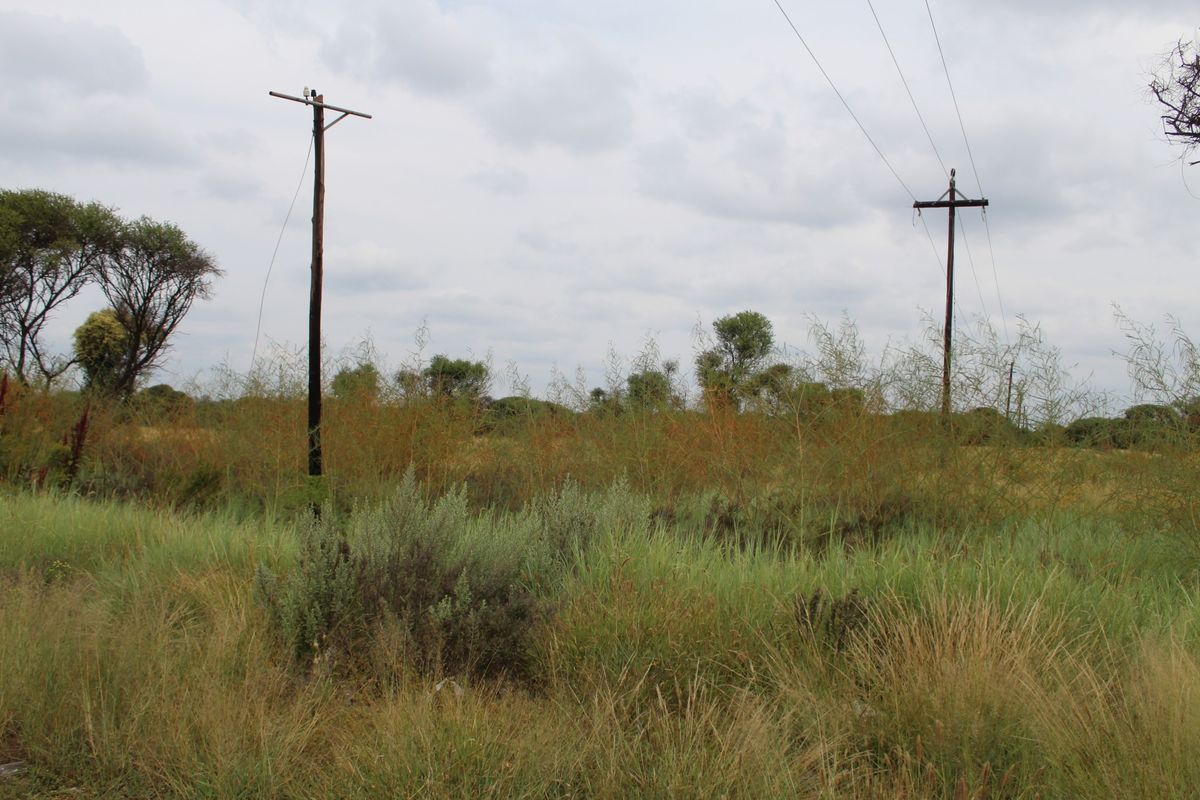 A view of a vacant residential plot featuring natural vegetation and overhead power lines.