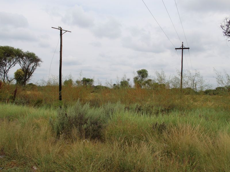 A view of a vacant residential plot featuring natural vegetation and overhead power lines.