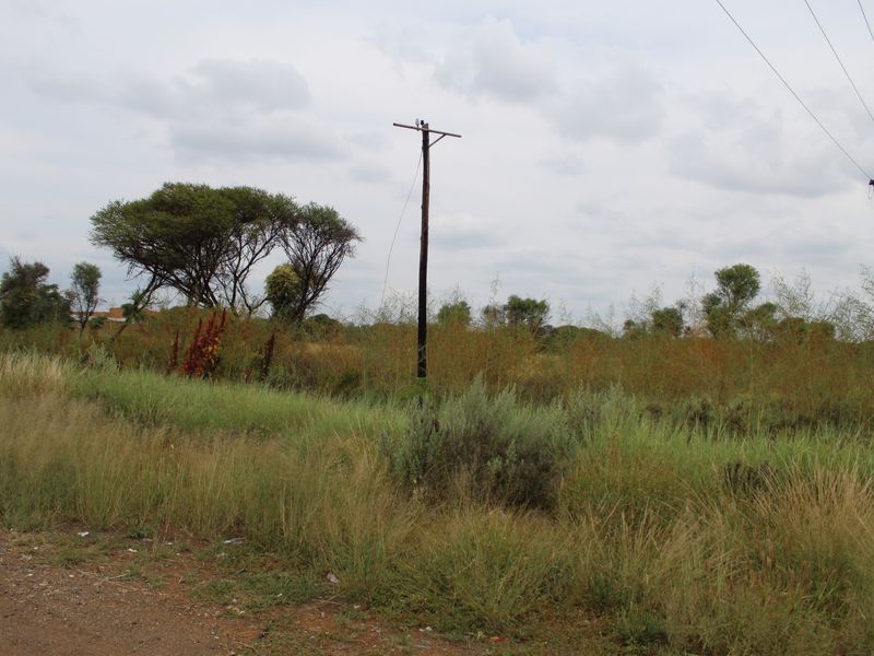 A view of a vacant residential plot featuring natural vegetation and an existing utility pole.