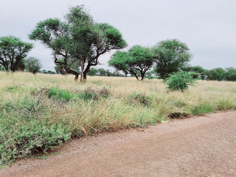 Vacant Land Residential For Sale In Northam - Photo 9