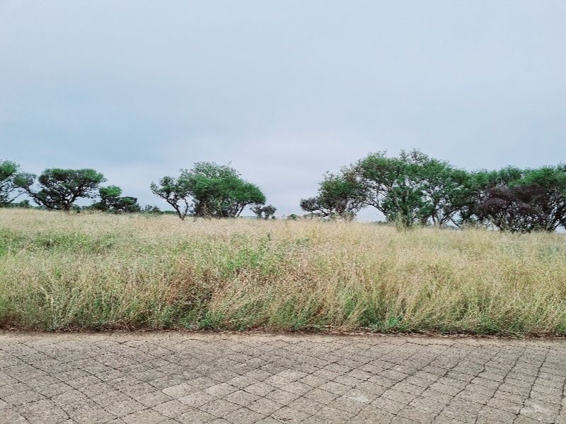 Vacant Land Residential For Sale In Northam - Photo 7