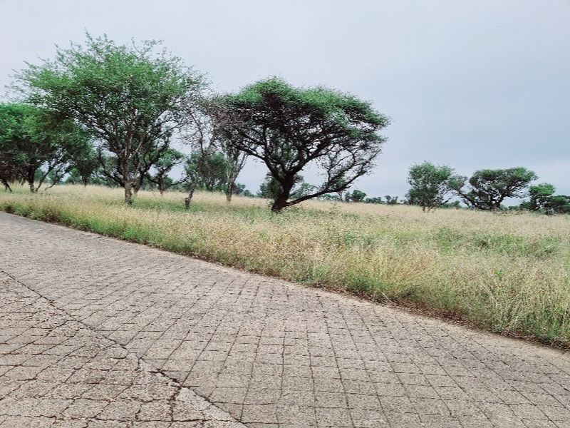 Vacant Land Residential For Sale In Northam - Photo 6