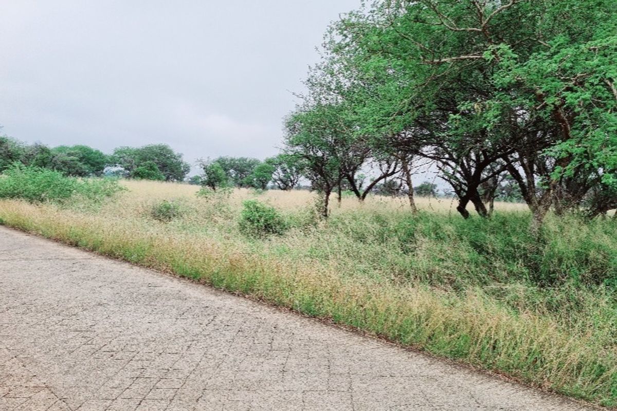 Vacant Land Residential For Sale In Northam - Photo 3