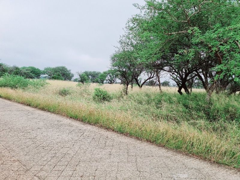 Vacant Land Residential For Sale In Northam - Photo 3