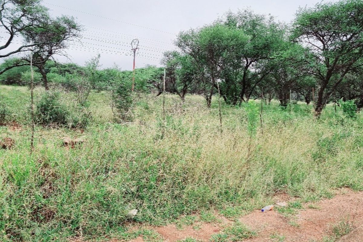 Vacant Land Residential For Sale In Northam - Photo 5