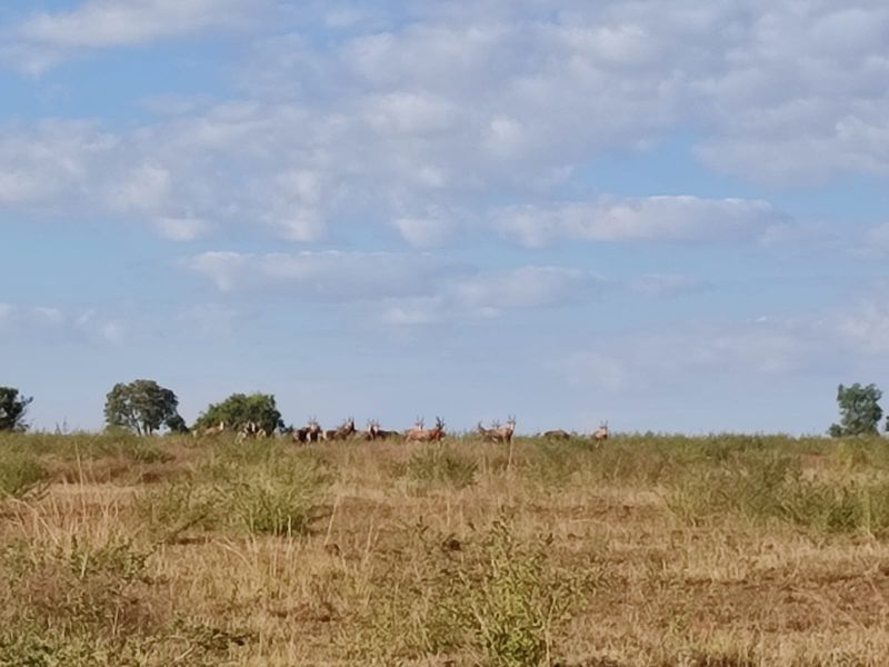 Vacant Land Residential For Sale In Koster - Photo 7