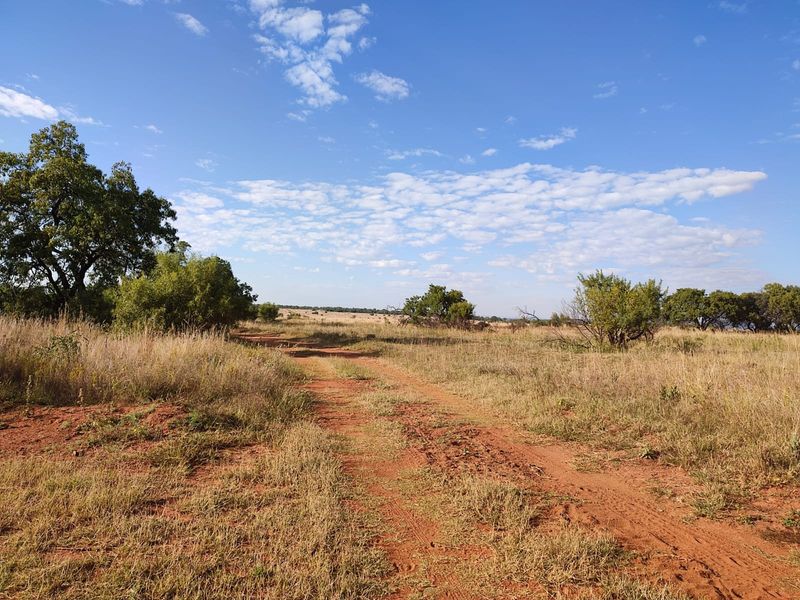 Vacant Land Residential For Sale In Koster - Photo 6