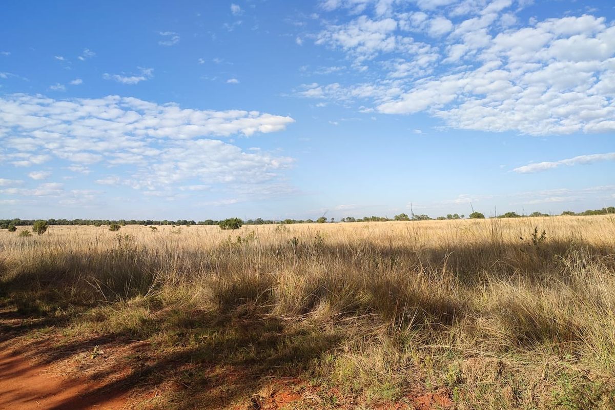 Vacant Land Residential For Sale In Koster - Photo 2