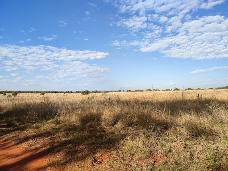 Vacant Land Residential For Sale In Koster - Photo 2