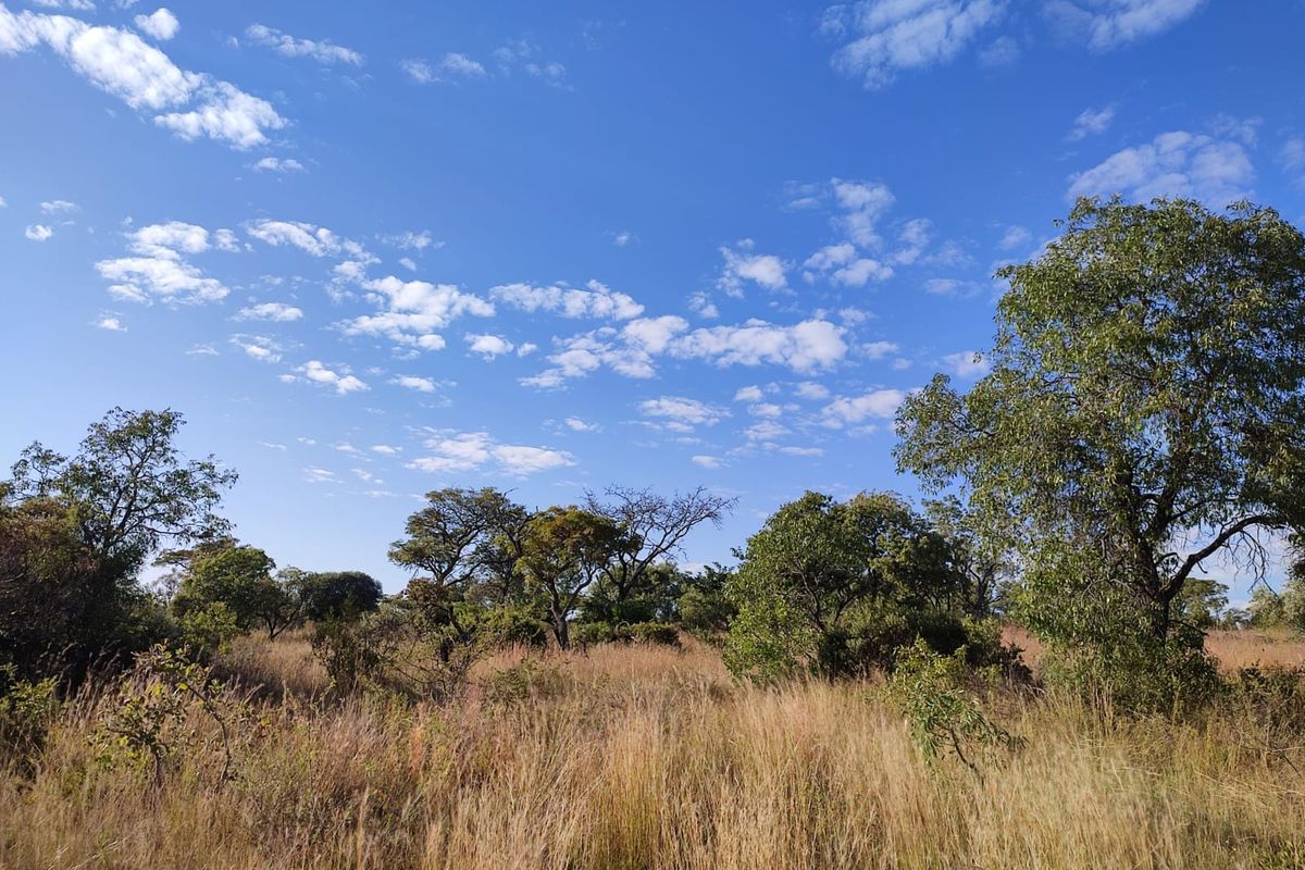 Vacant Land Residential For Sale In Koster - Photo 3