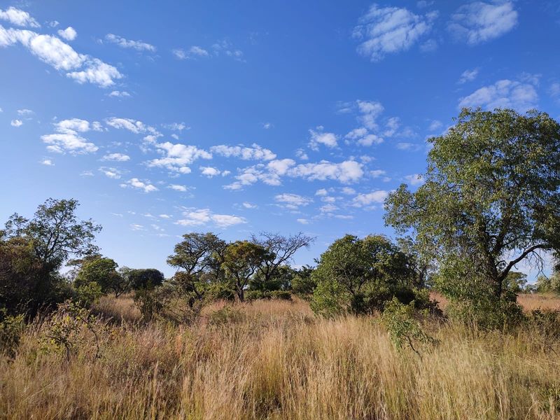 Vacant Land Residential For Sale In Koster - Photo 3