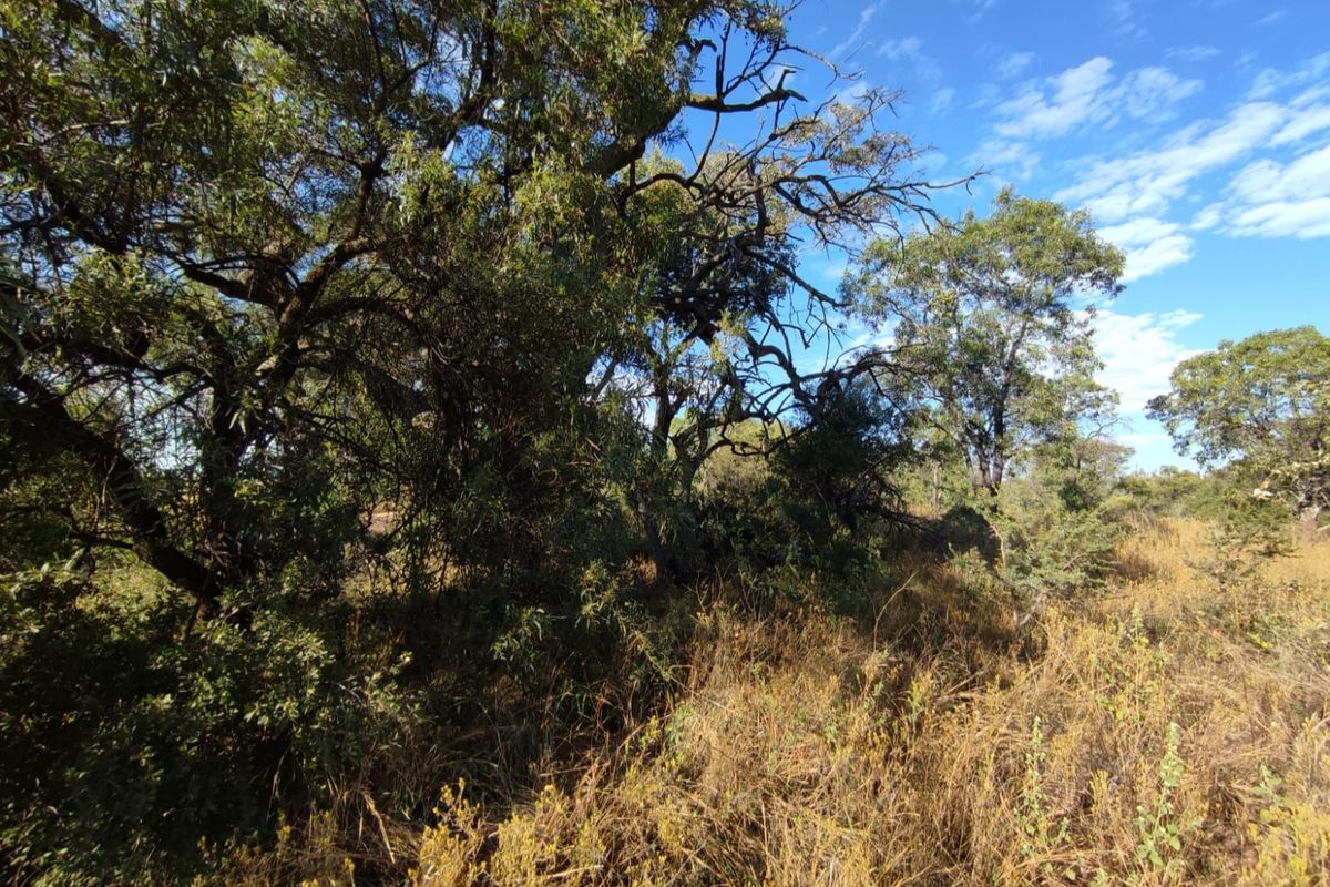 Vacant Land Residential For Sale In Koster - Photo 5