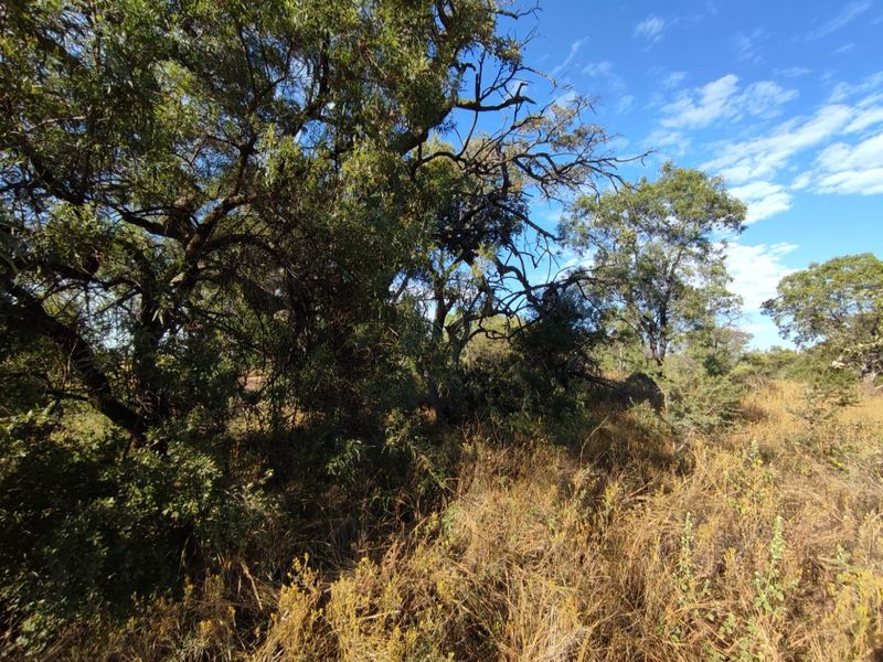 Vacant Land Residential For Sale In Koster - Photo 5