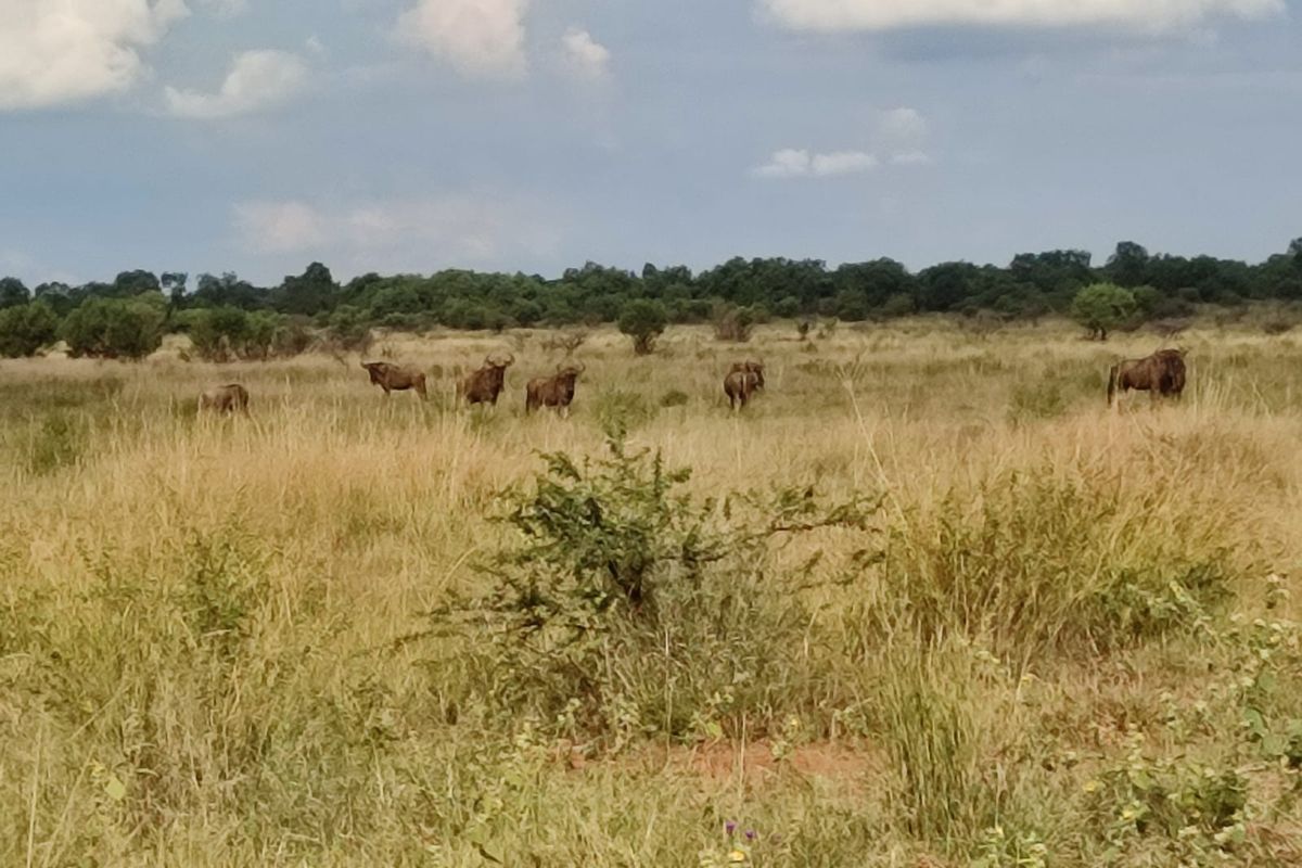 Safe, Secure, and Exclusive - Photo 5