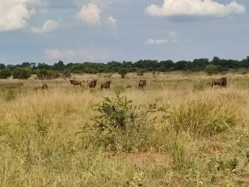 Safe, Secure, and Exclusive - Photo 5