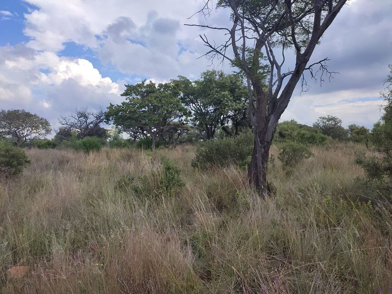 Safe, Secure, and Exclusive - Photo 10