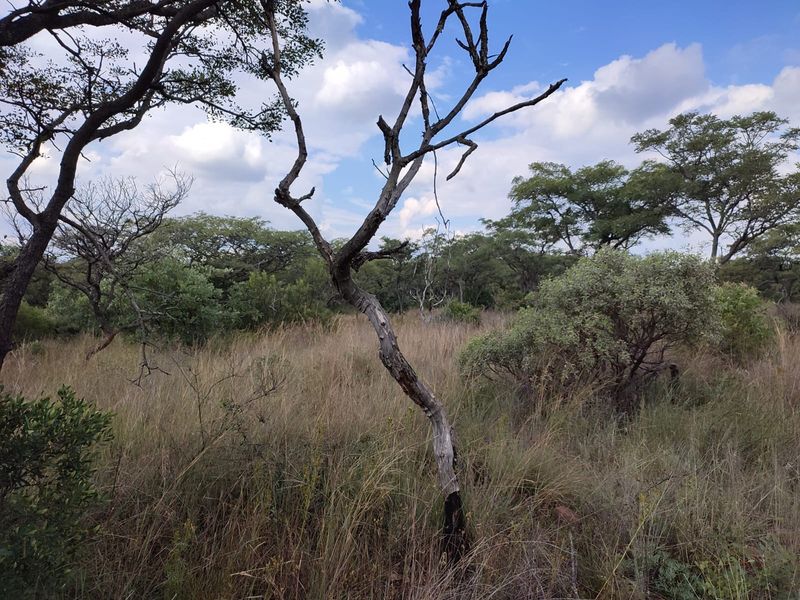 Safe, Secure, and Exclusive - Photo 9