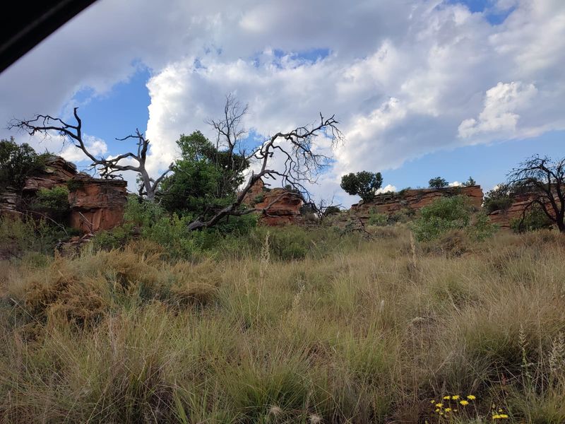 Safe, Secure, and Exclusive - Photo 8