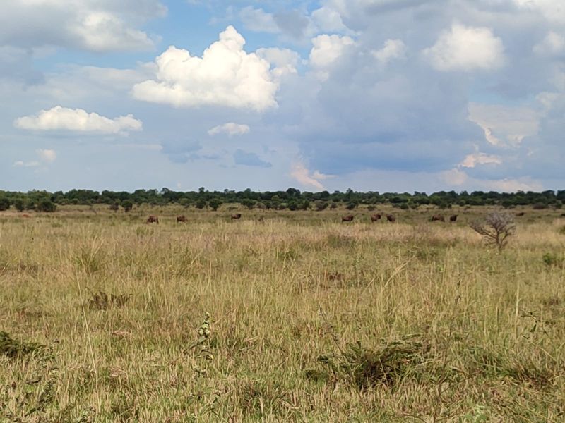 Safe, Secure, and Exclusive - Photo 6