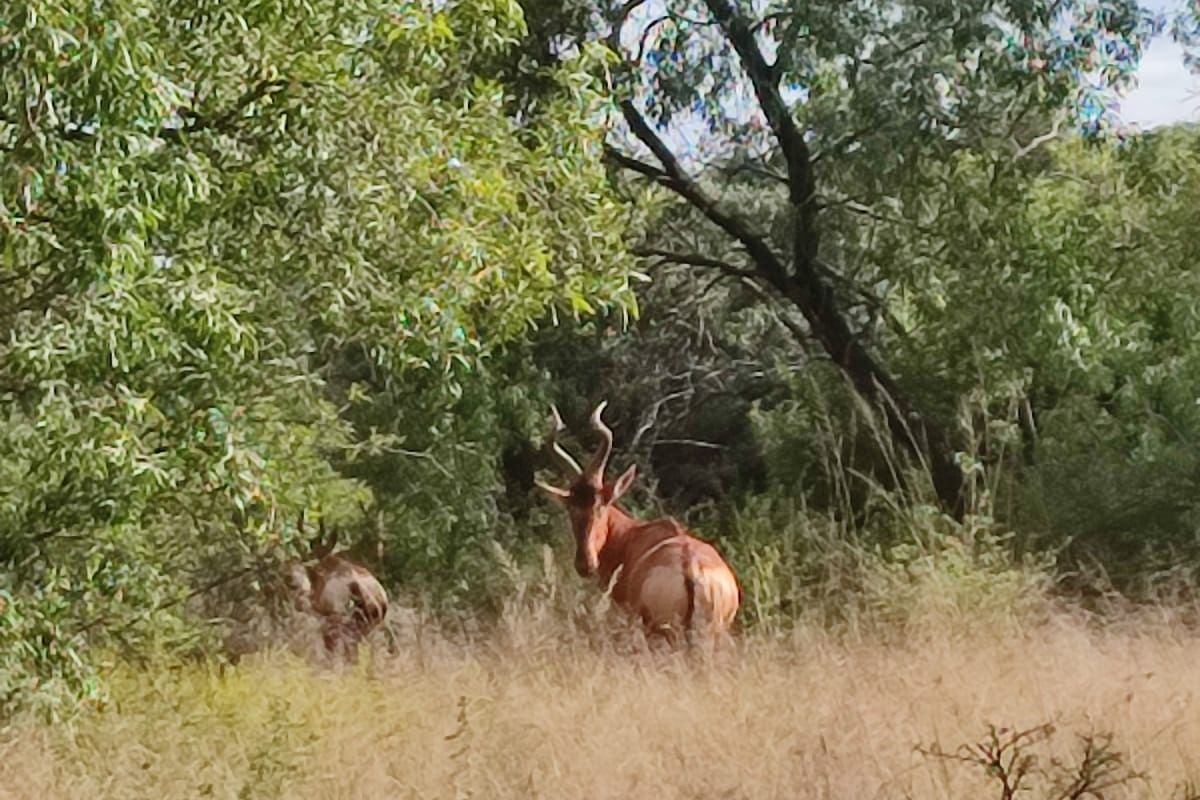 Safe, Secure, and Exclusive - Photo 2