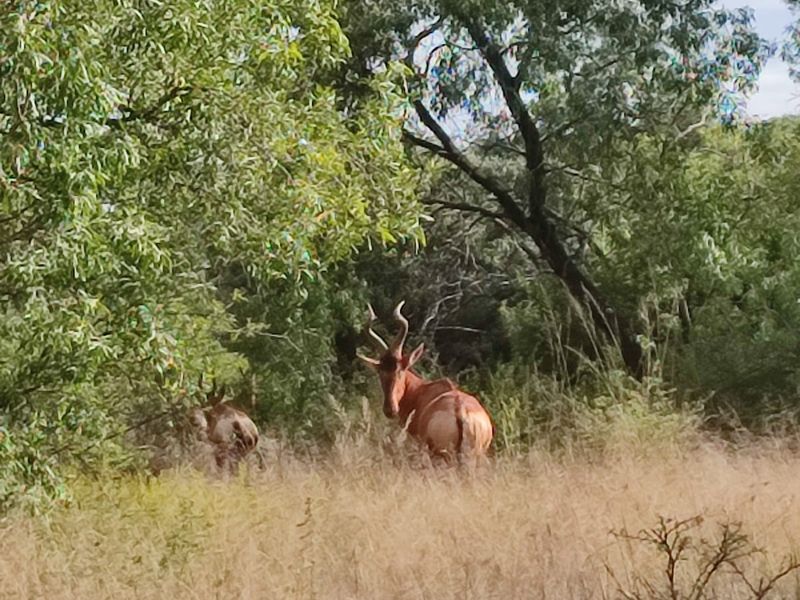 Safe, Secure, and Exclusive - Photo 2