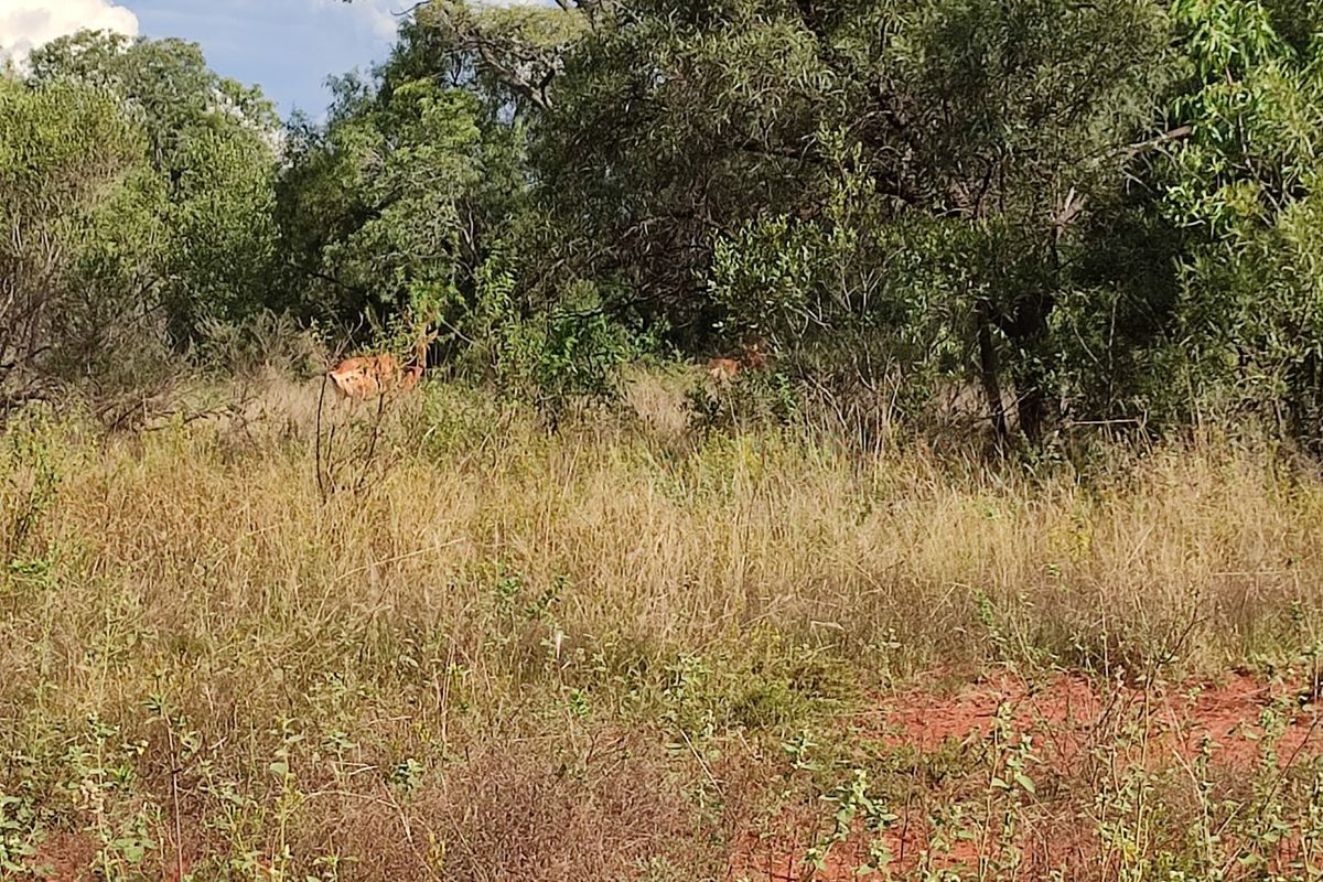 Safe, Secure, and Exclusive - Photo 3