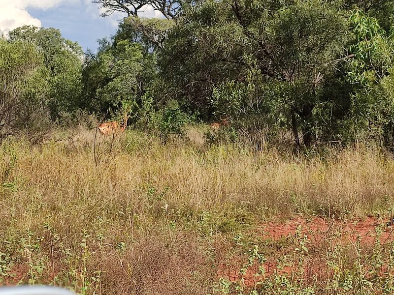 Safe, Secure, and Exclusive - Photo 3