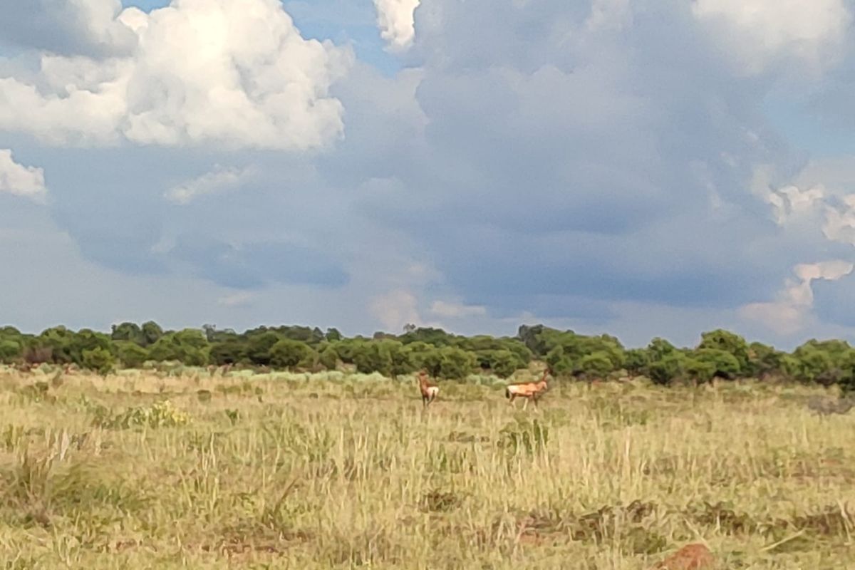 Safe, Secure, and Exclusive - Photo 4