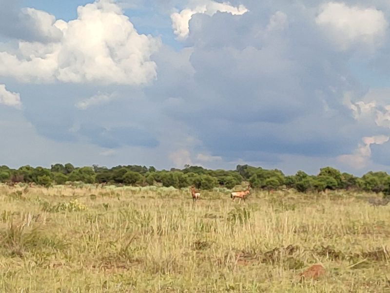 Safe, Secure, and Exclusive - Photo 4